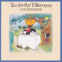 Tea For The Tillerman